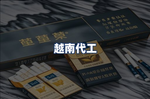 越南代工